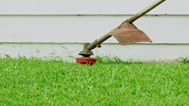 Best Soil Testing and Treatment  in Ridgecrest, CA